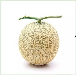 吃瓜群众图片真人头像,揭秘吃瓜群众的真实面容